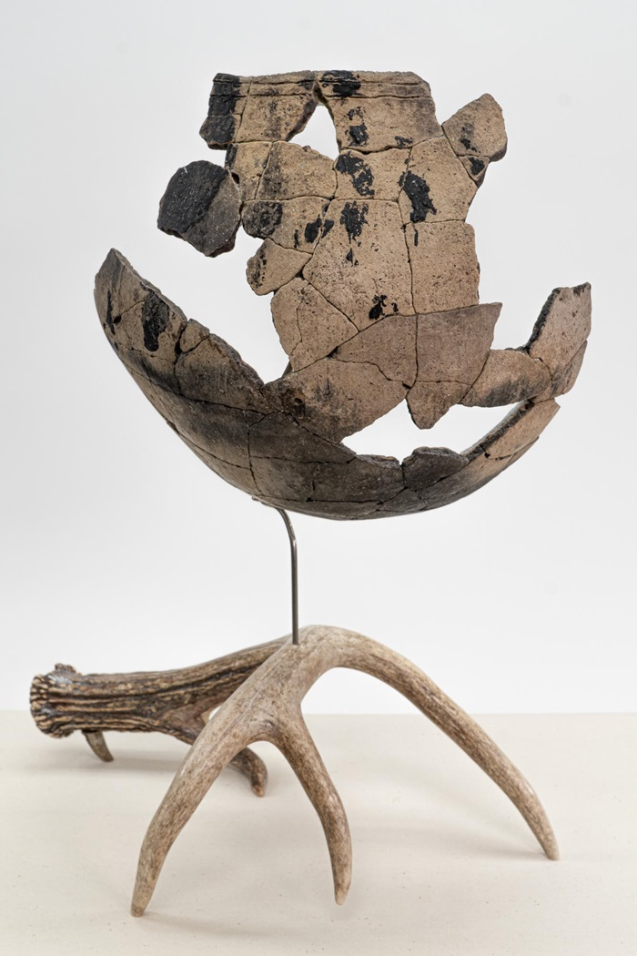 Reconstructed coastal pottery vessel fragments displayed on an antler stand